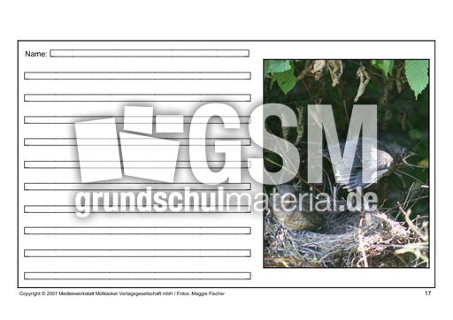 Amsel-eigene-Texte-17.pdf